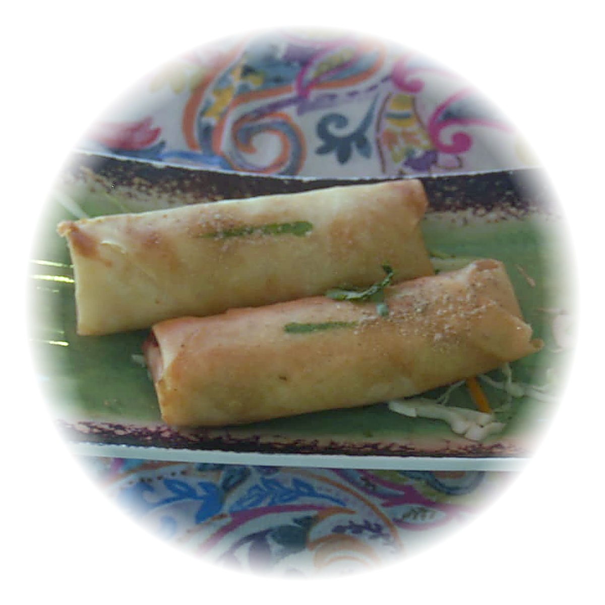 Vegetable Spring Roll
