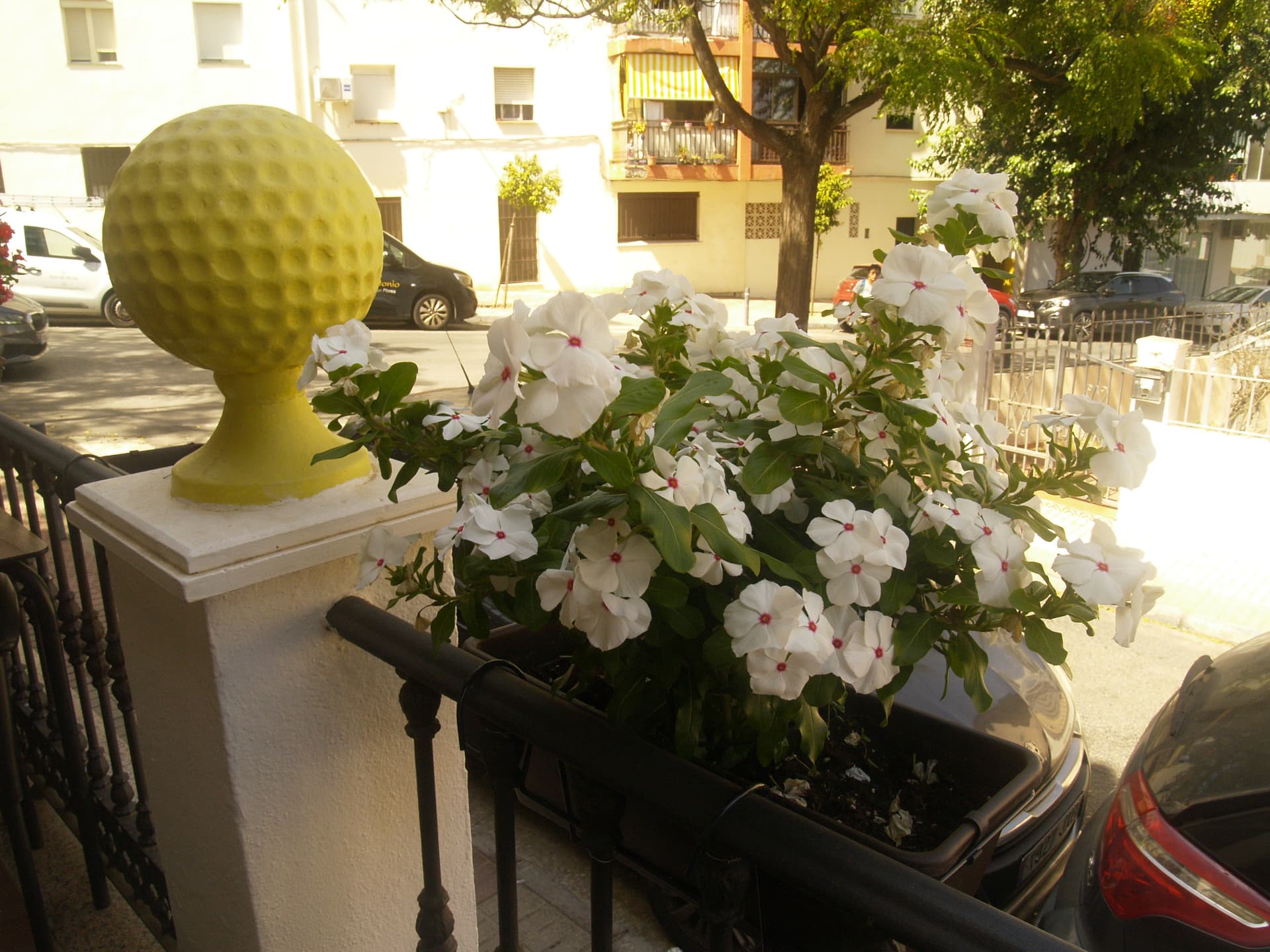 Namaste India San Pedro de Alcántara — Flowered terrace